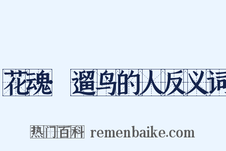 花魂·遛鸟的人反义词是什么意思的图片
